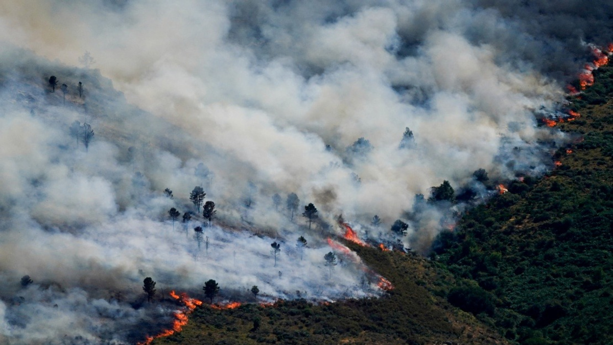 Spain Declares Emergency as Wildfires Force Nearly 60,000 to Evacuate Near Madrid