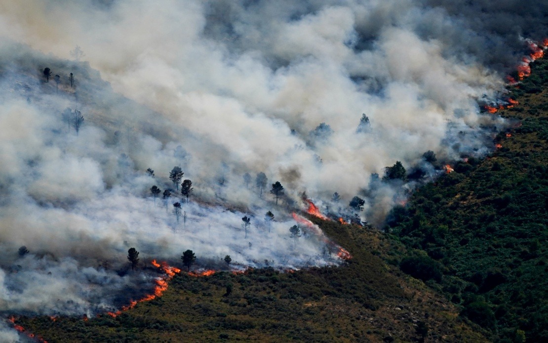 Spain Declares Emergency as Wildfires Force Nearly 60,000 to Evacuate Near Madrid