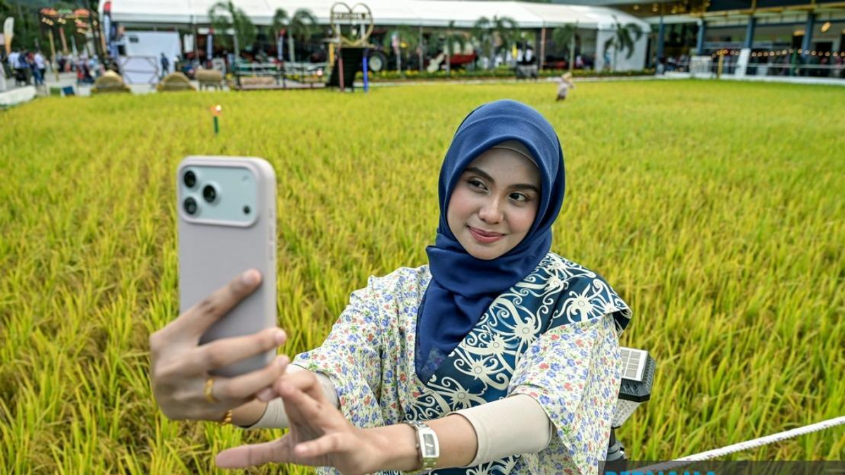 Record-Breaking Paddy Art Takes Centre Stage at MAHA 2026 Laman Padi