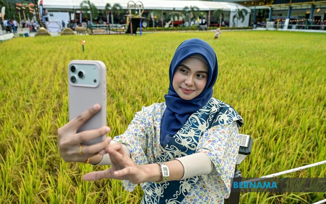 Record-Breaking Paddy Art Takes Centre Stage at MAHA 2026 Laman Padi