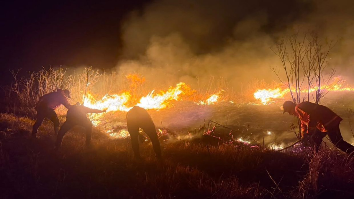 Mount Bromo wildfire spreads rapidly across 520 hectares as East Java battles fierce flames