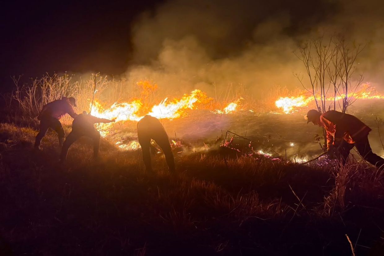 Mount Bromo wildfire spreads rapidly across 520 hectares as East Java battles fierce flames