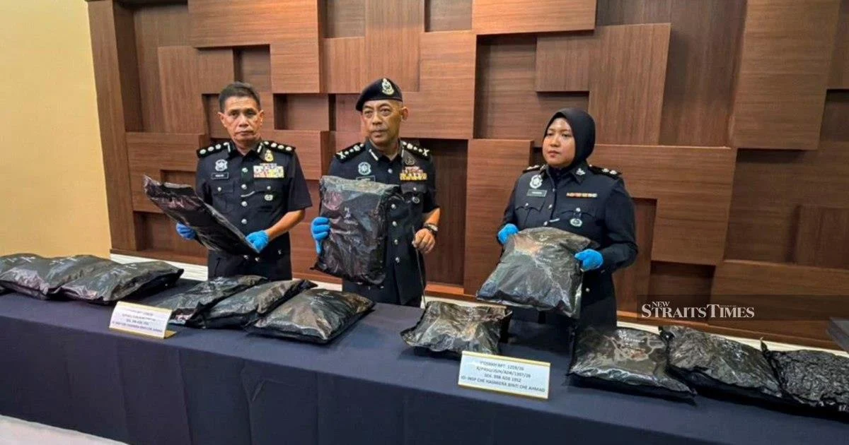 Student Arrested with RM1.17mil Cannabis in Drugs Smuggling Attempt at Bukit Kayu Hitam