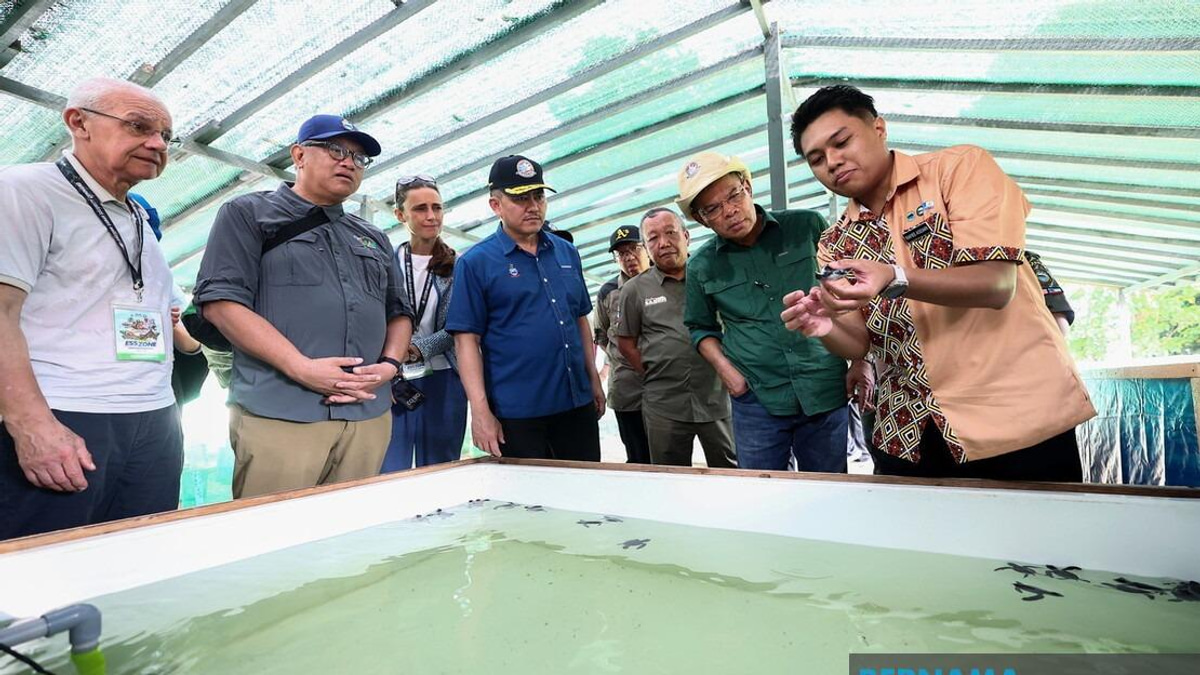 Malaysia Intensifies Crackdown on Illegal Business Activities by Tourists in Semporna