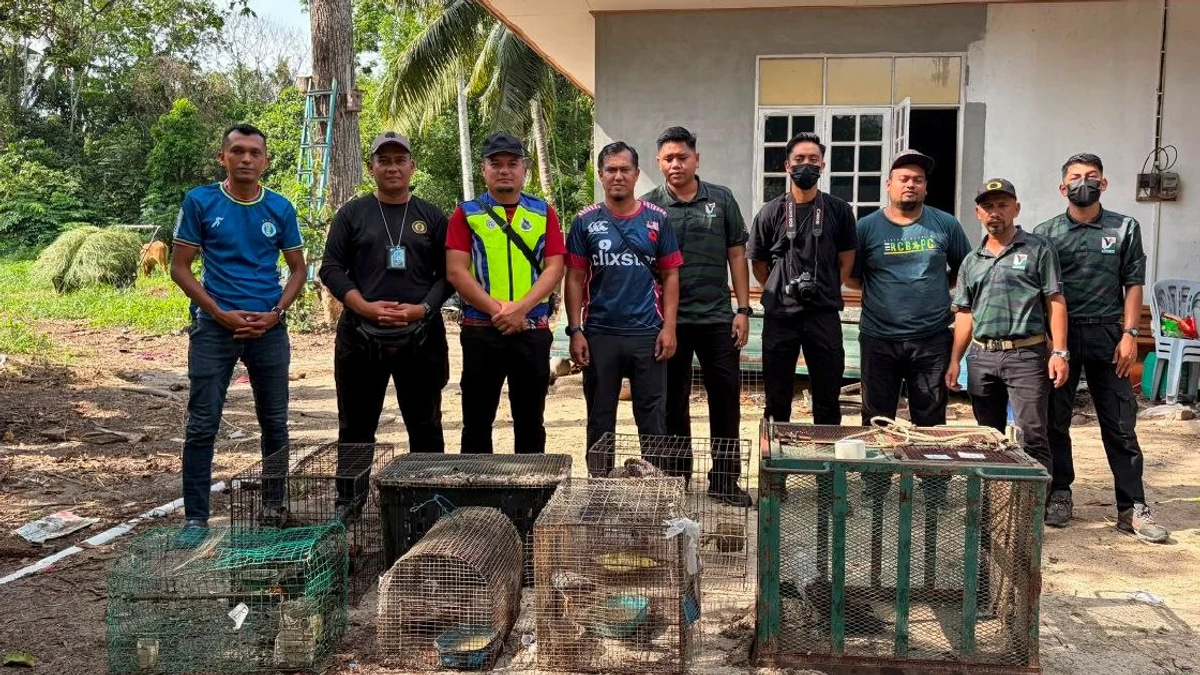 Teenager Detained With Nearly RM50,000 in Illegal Protected Wildlife in Kelantan Enforcement Raid