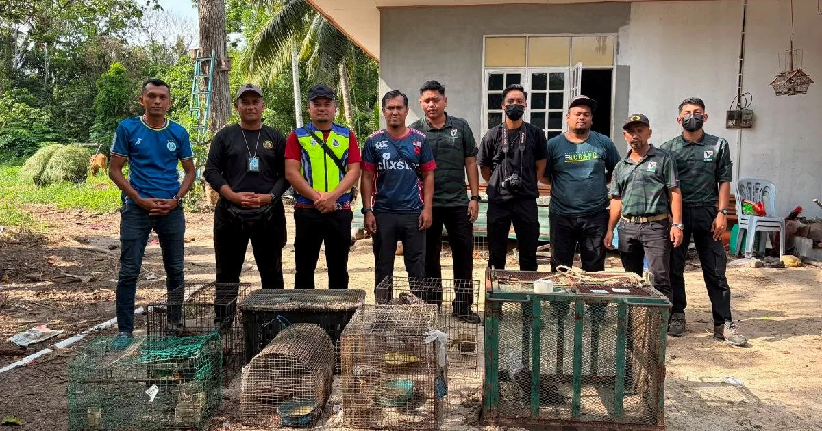 Teenager Detained With Nearly RM50,000 in Illegal Protected Wildlife in Kelantan Enforcement Raid