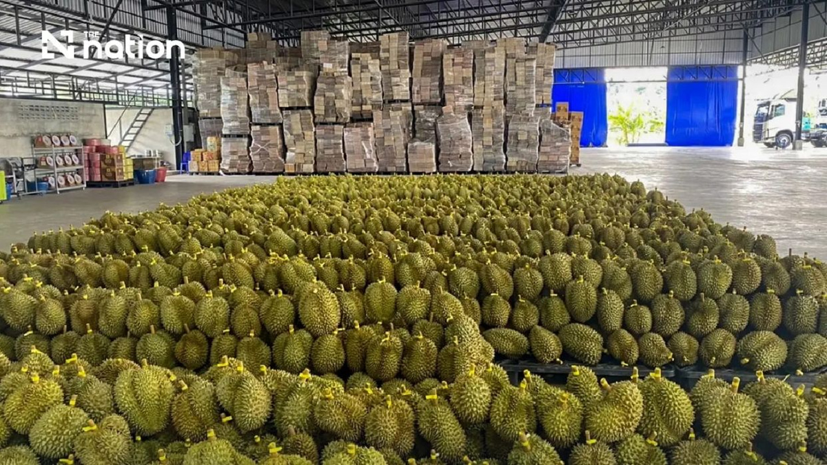 Thai Durian Exports to China Smash THB100bn Milestone in First Half of 2026
