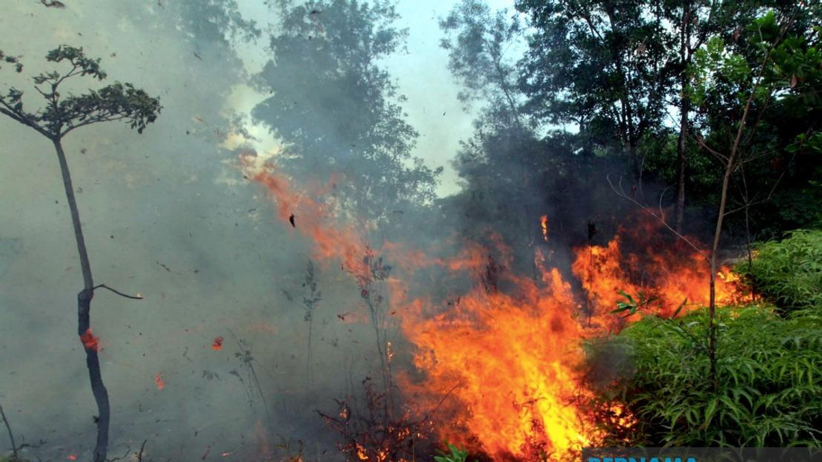 Sabah Intensifies Open Burning Ban as Indonesian Haze Drifts Across Border