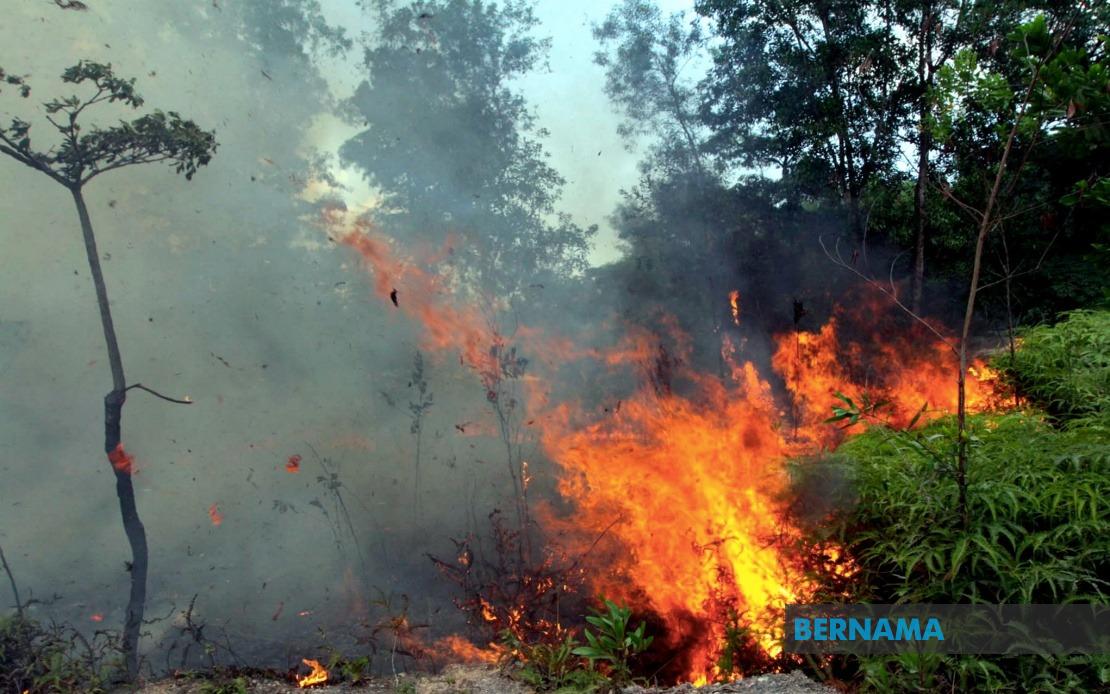 Sabah Intensifies Open Burning Ban as Indonesian Haze Drifts Across Border
