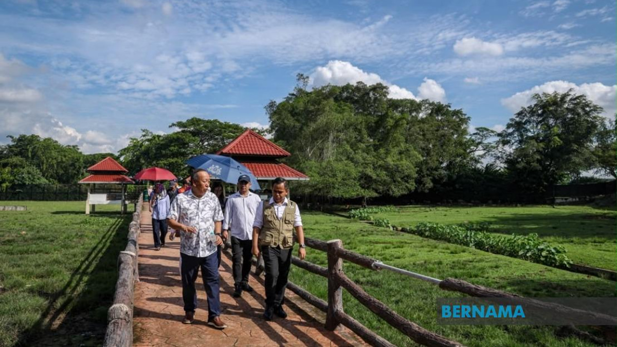 Sabah UMNO Deploys Campaign Team to Support BN in Johor Election Battle