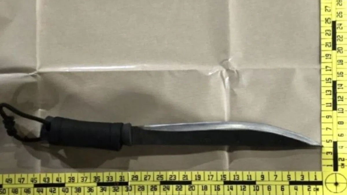 Four arrested in Singapore over carpark abduction and illegal weapon