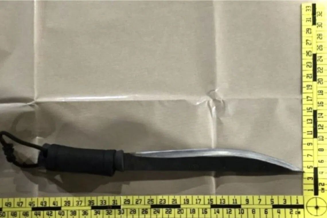 Four arrested in Singapore over carpark abduction and illegal weapon