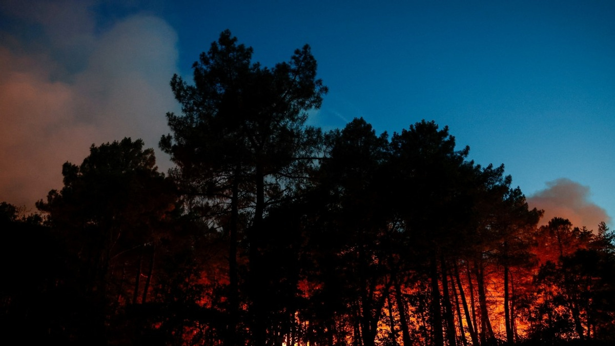Massive Wildfire Threatens Fontainebleau Forest Near Paris as Arson Suspected