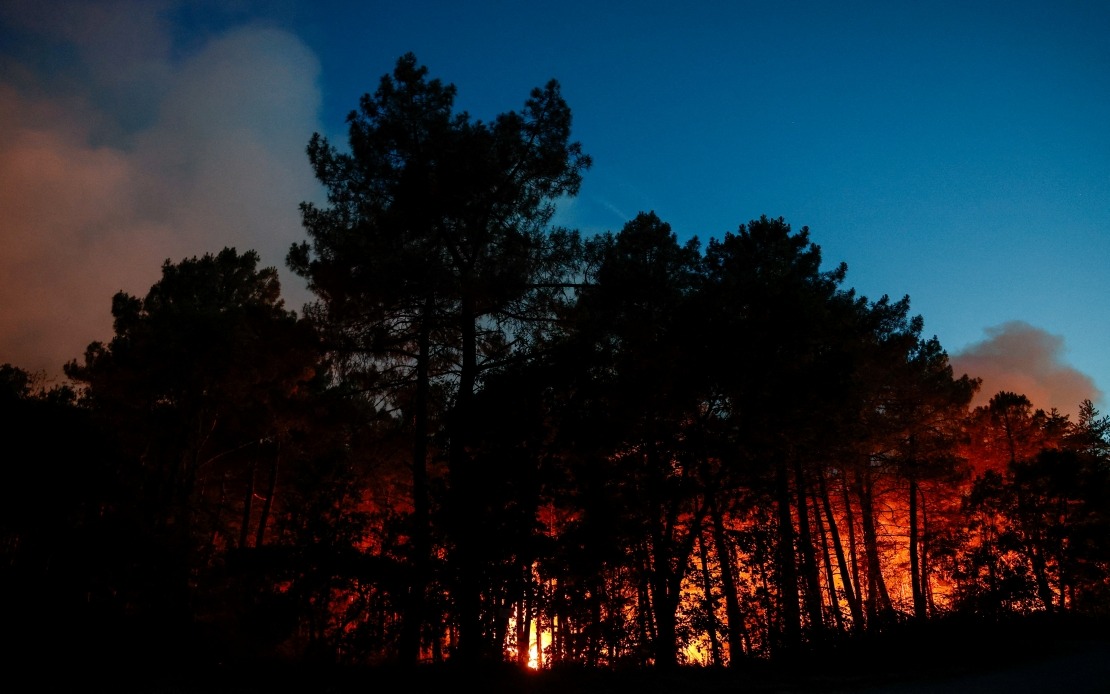 Massive Wildfire Threatens Fontainebleau Forest Near Paris as Arson Suspected