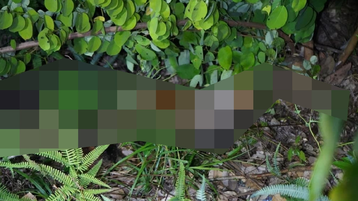 10-year-old girl found dead in Kota Kinabalu; two men arrested for murder