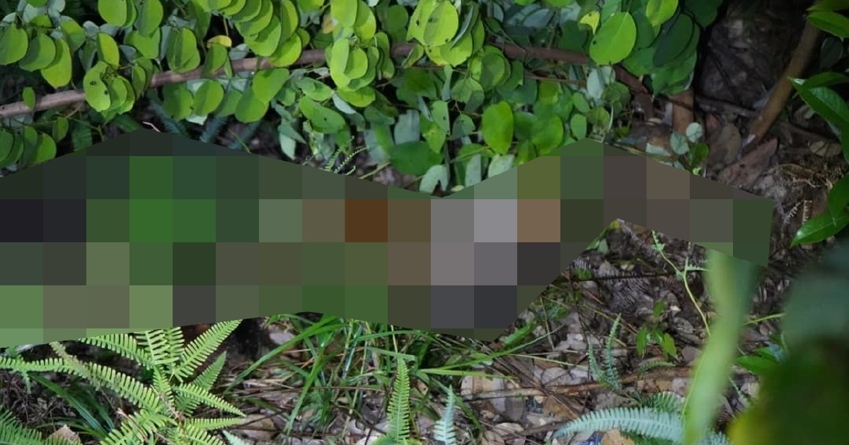 10-year-old girl found dead in Kota Kinabalu; two men arrested for murder