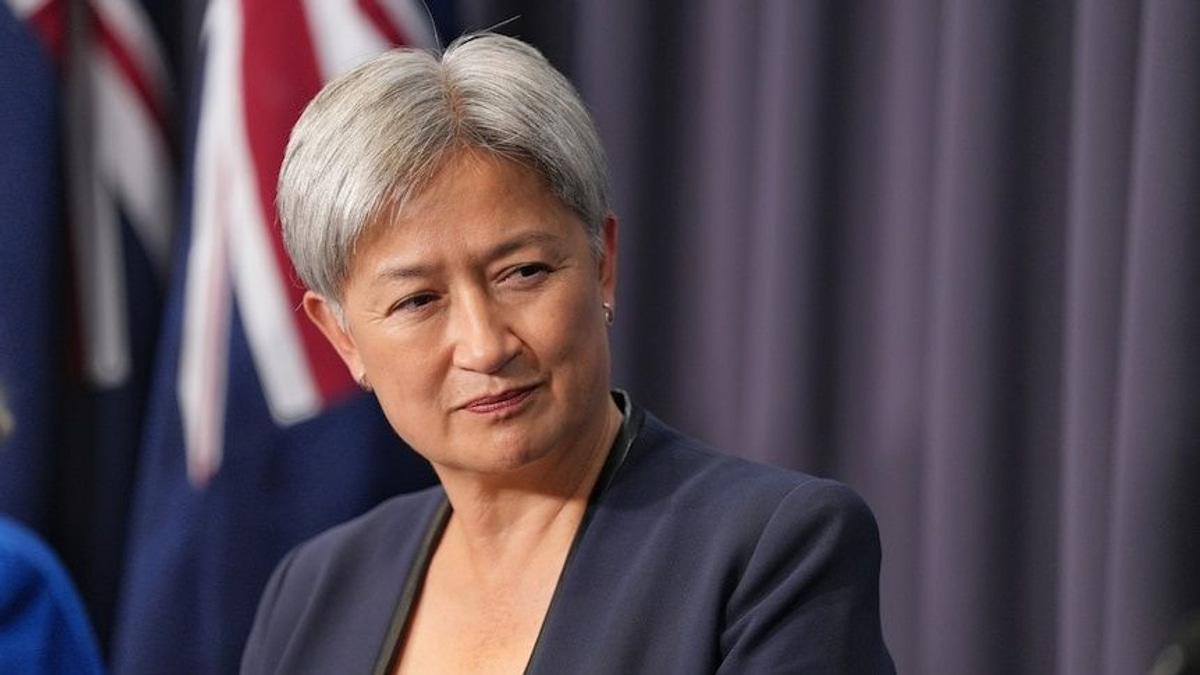 Wong defends multiculturalism against far-right 'monoculture' push