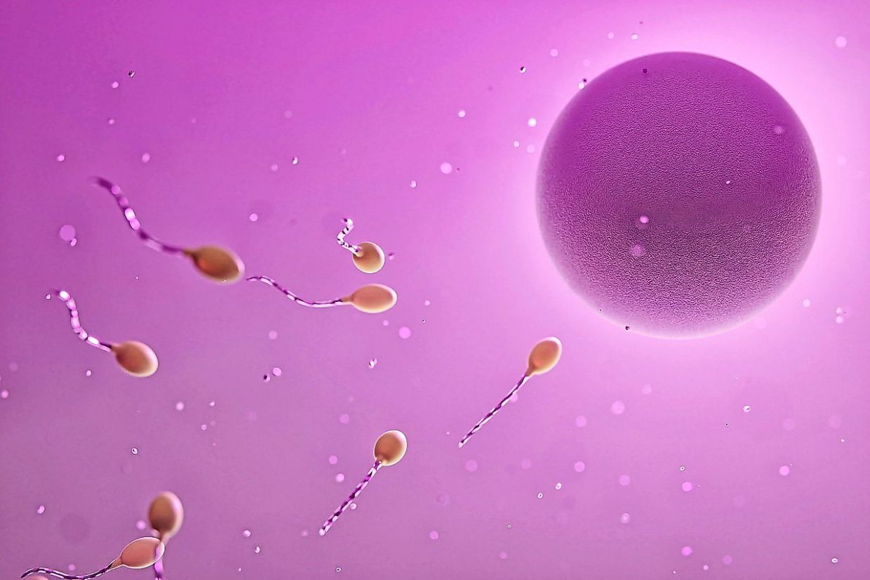 Understanding Infertility and Egg-Release Medications: A Guide for Women Seeking Fertility Treatment
