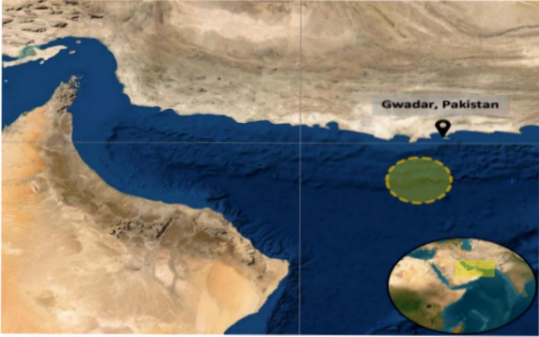 UK Maritime Authority Issues Alert Over Tanker Incident Near Pakistan Coast Amid Gulf Tensions