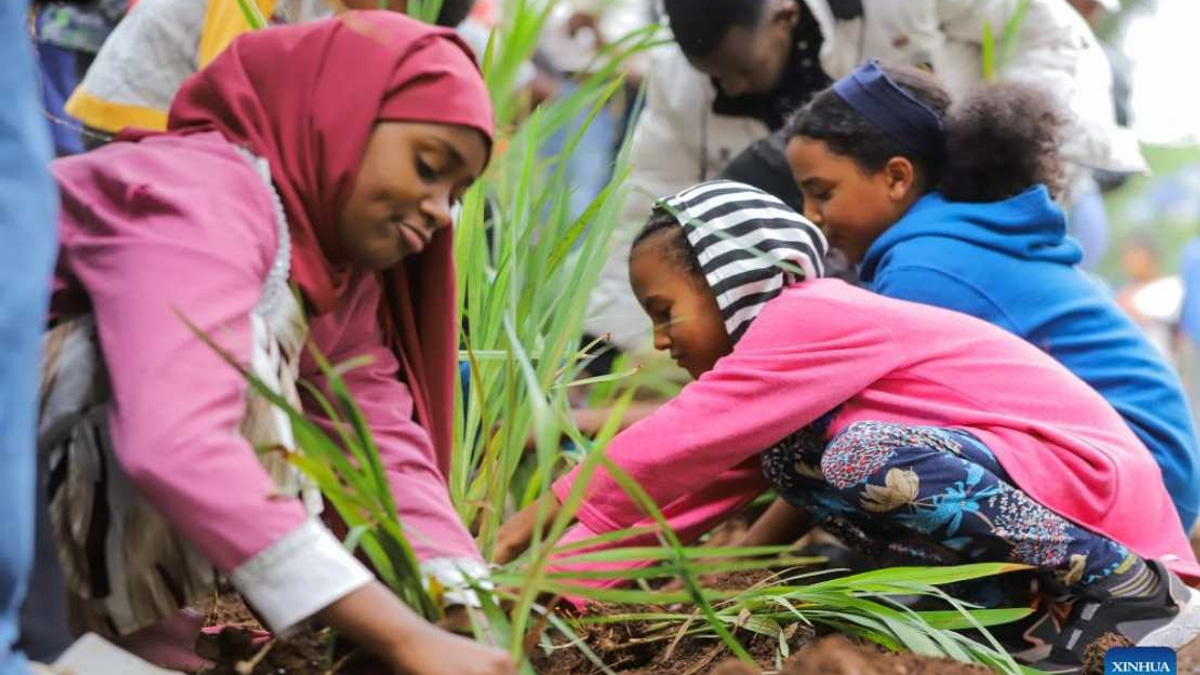 Ethiopia Plants 800 Million Trees in Record One-Day Drive