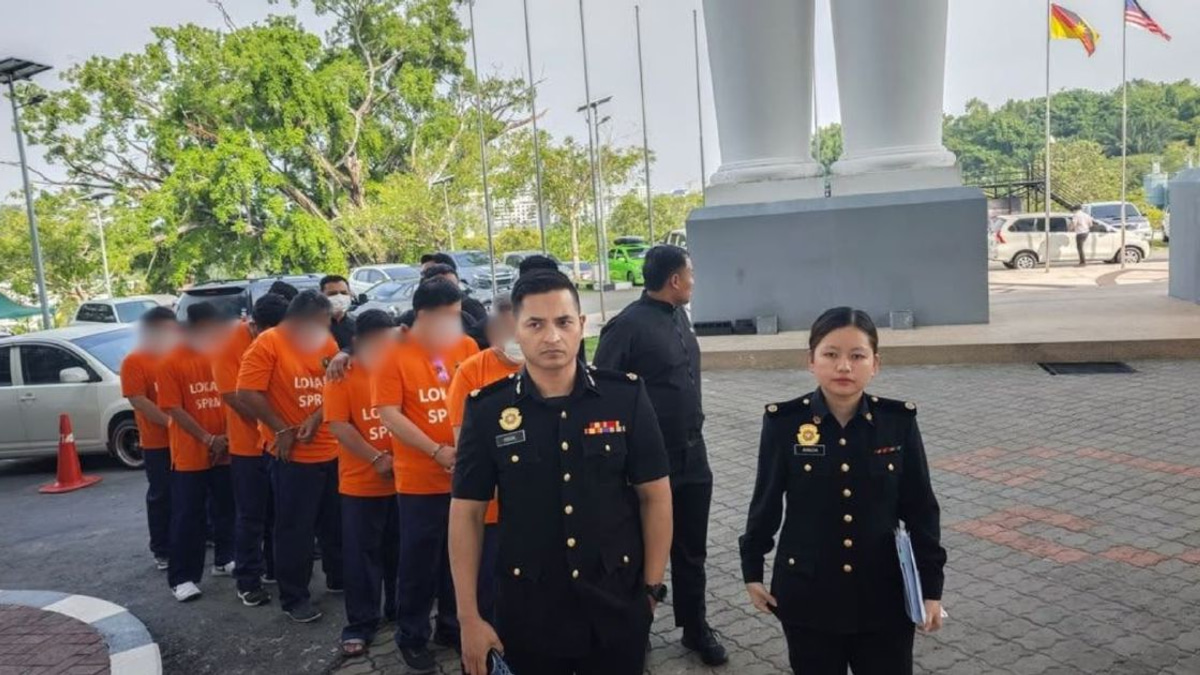 Seven Detained Over Alleged Bribery Scheme in Frozen Chicken Smuggling Case