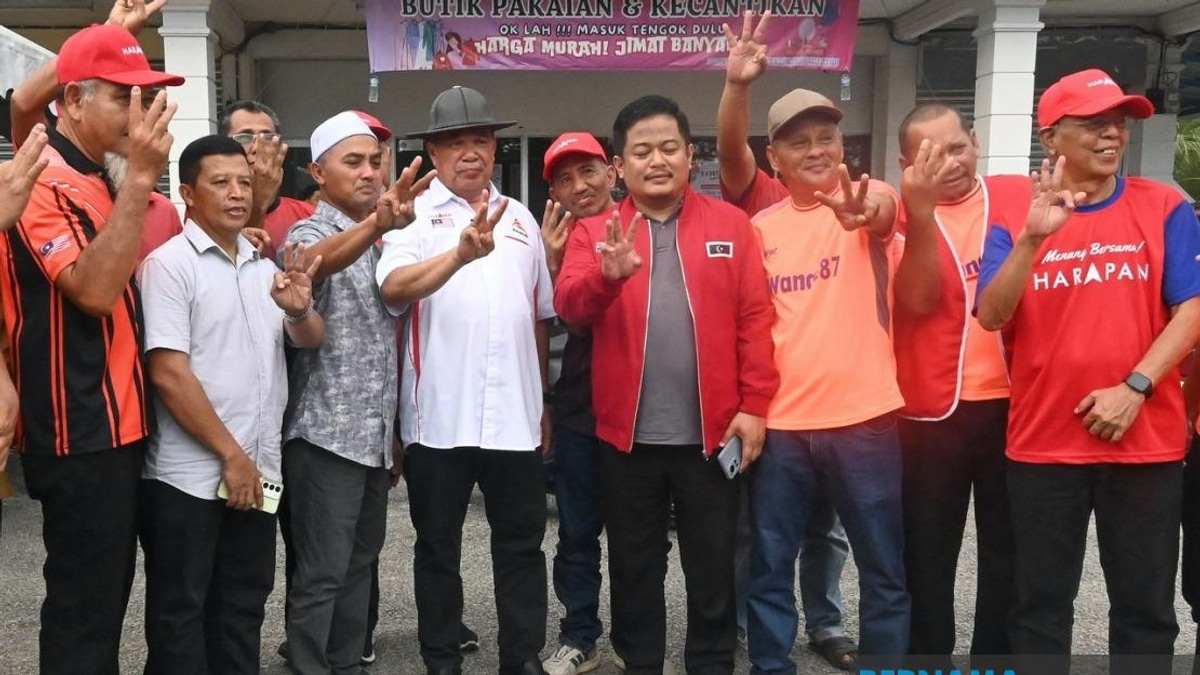 Johor Voters Must Back PH to Prove Manifesto Is Real, Says Mohamad Sabu
