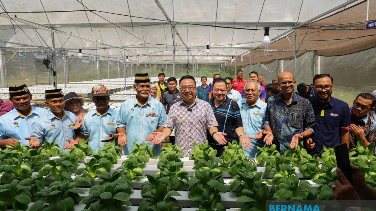 Over 6,700 Community Members Gain Skills and Food Security Through MyIS Innovation Projects