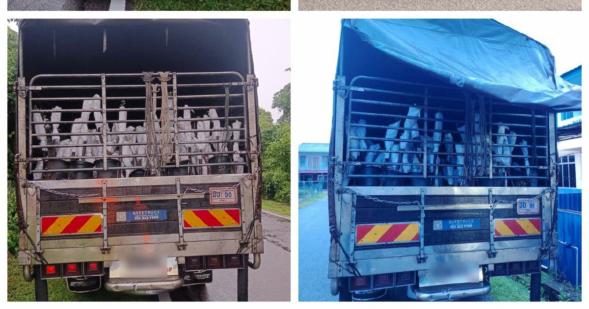 Lorry driver and attendant held in raid on Thai plant sapling smuggling operation