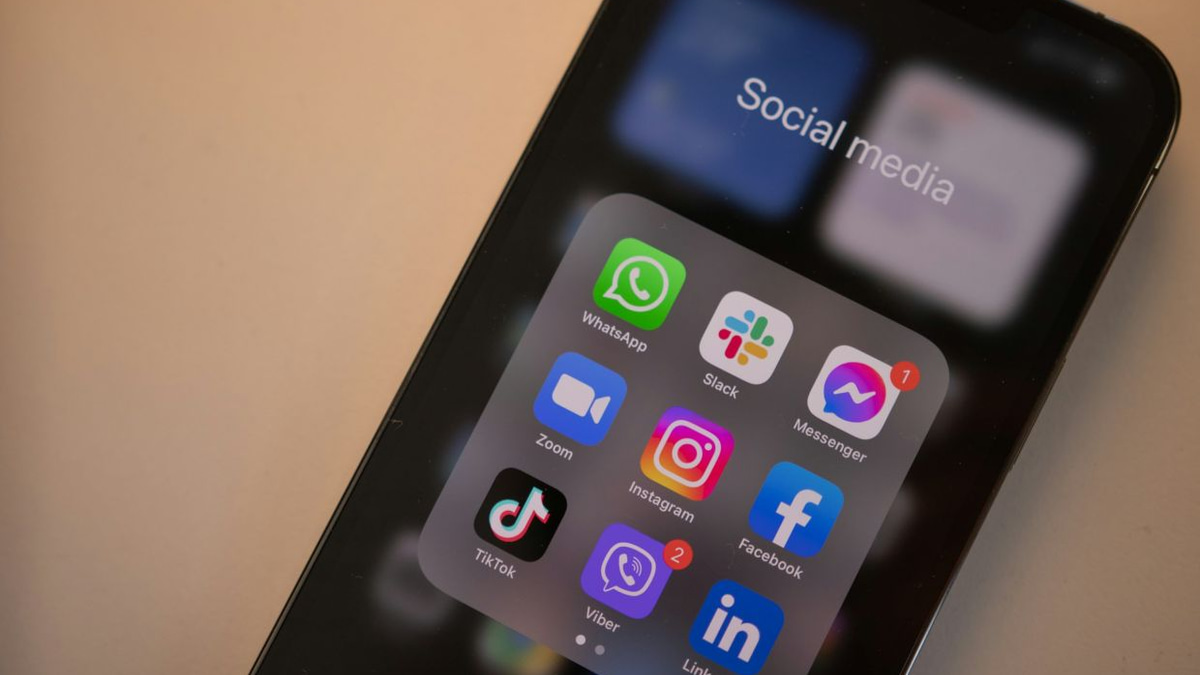 France's Constitutional Court Strikes Down Under-15 Social Media Ban, Forcing Government Rethink