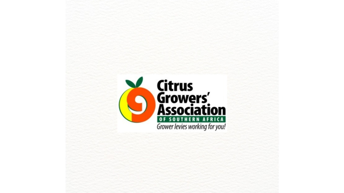 South Africa and India Unlock Citrus Trade After 10-Year Negotiation Marathon