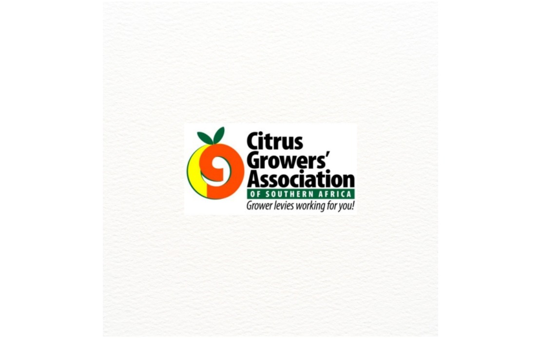 South Africa and India Unlock Citrus Trade After 10-Year Negotiation Marathon