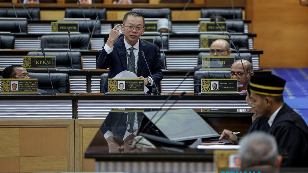 Rice Act Enforcement Will Spare Farmers, Focus on Supply Chain Players