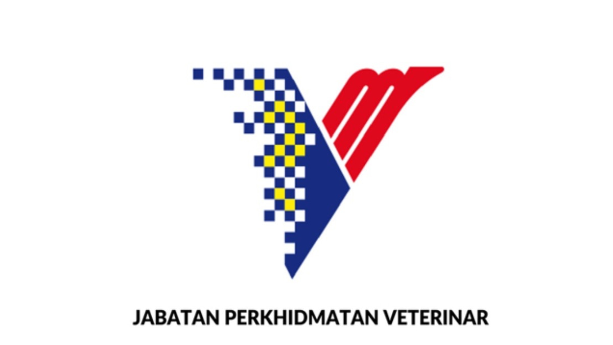 DVS Warns of Fraudulent Government Orders As Scammers Impersonate Officials