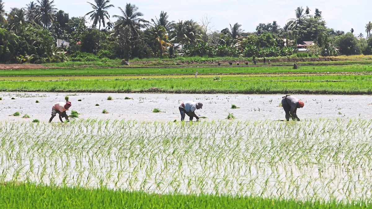 Malaysia Shields Food Prices from Middle East Turmoil Through Strategic Subsidies and Long-Term Resilience Planning